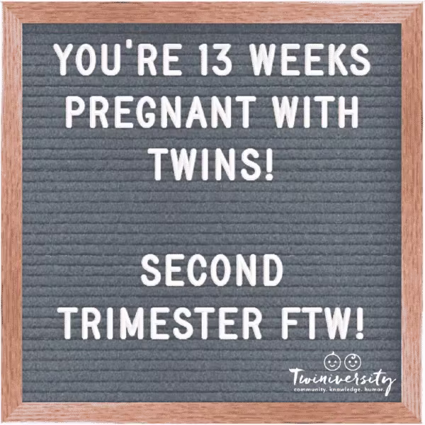 13 weeks pregnant with twins