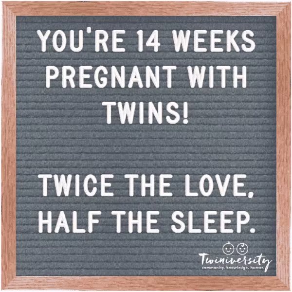 Twin Pregnancy Week By Week Timeline