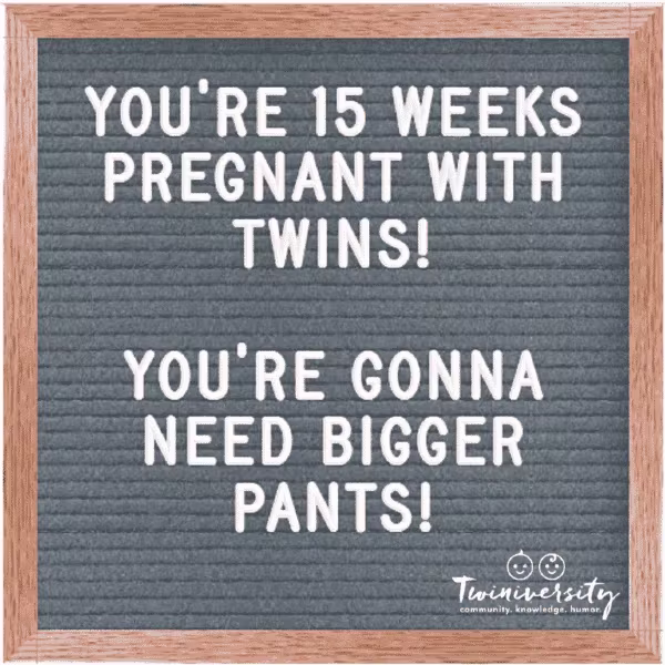 Twin Pregnancy Week By Week Timeline