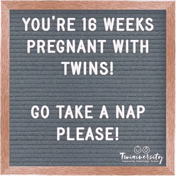 16 weeks pregnant with twins