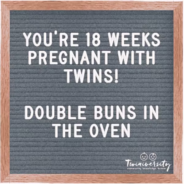 Twin Pregnancy Week By Week Timeline