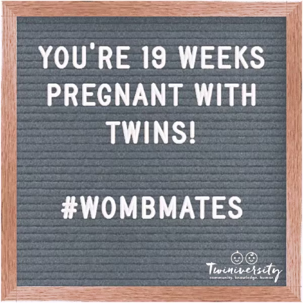 Twin Pregnancy Week By Week Timeline
