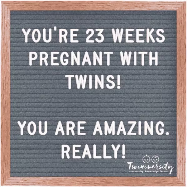 Twin Pregnancy Week By Week Timeline