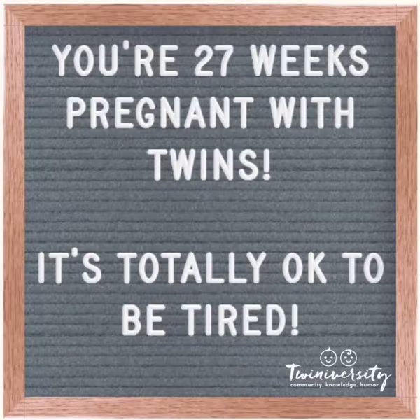 Twin Pregnancy Week By Week Timeline