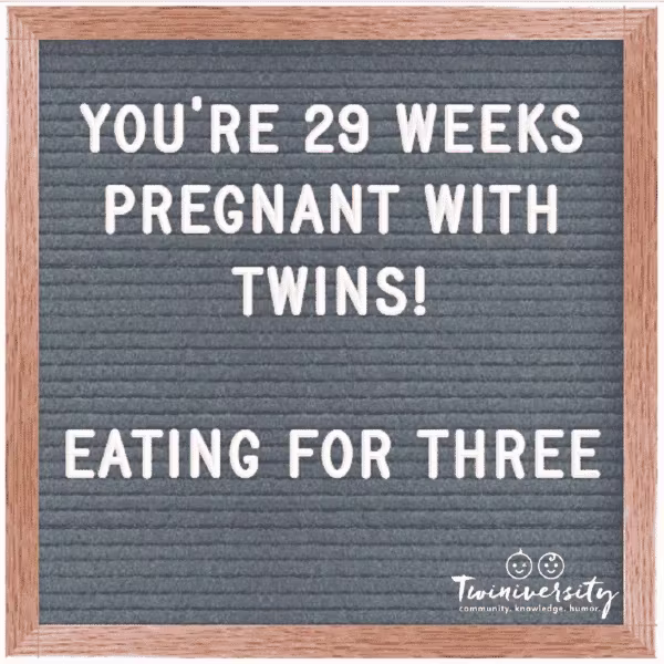 Twin Pregnancy Week By Week Timeline