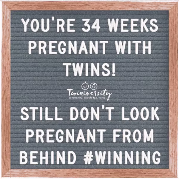 Twin Pregnancy Week By Week Timeline