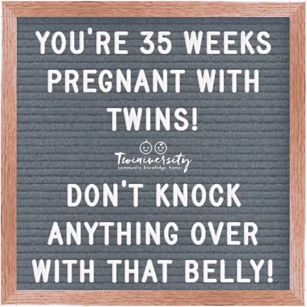 Twin Pregnancy Week By Week Timeline