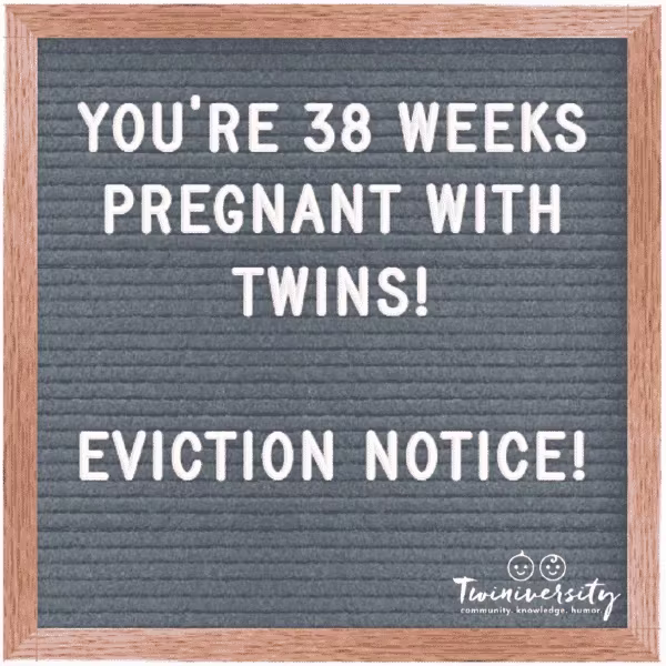 Twin Pregnancy Week By Week Timeline