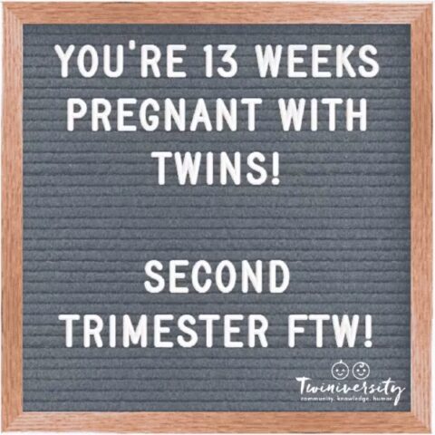 Twin Pregnancy Week By Week Timeline