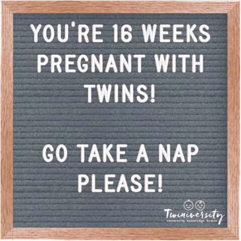 Twin Pregnancy Week By Week Timeline