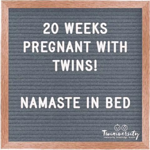 Twin Pregnancy Week By Week Timeline