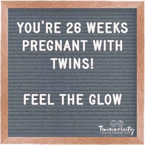 Twin Pregnancy Week By Week Timeline