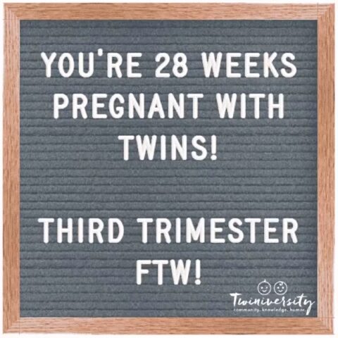 Twin Pregnancy Week By Week Timeline