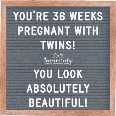 Twin Pregnancy Week By Week Timeline