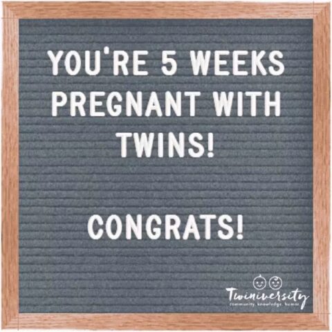 Twin Pregnancy Week By Week Timeline