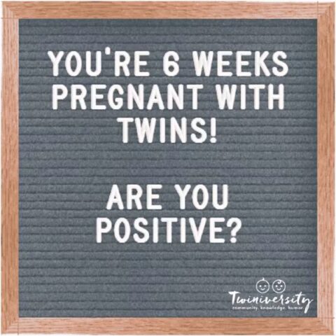 Twin Pregnancy Week By Week Timeline