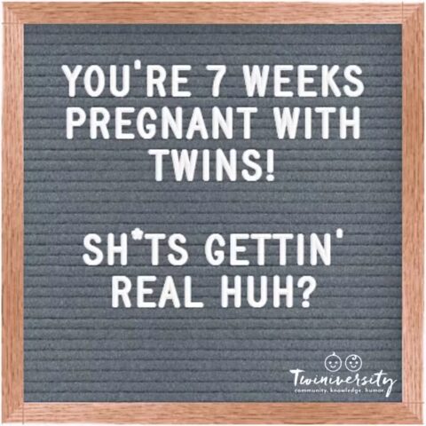 Twin Pregnancy Week By Week Timeline