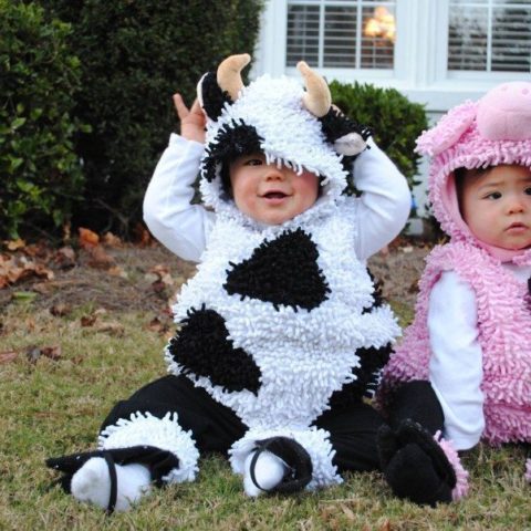 Twin Girl Halloween Costumes: Cute, Creative, and Epic