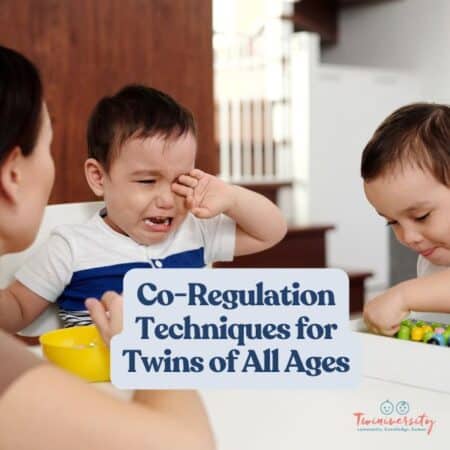 co-regulation techniques to use with twins of all ages
