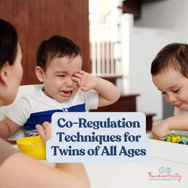 co-regulation techniques to use with twins of all ages