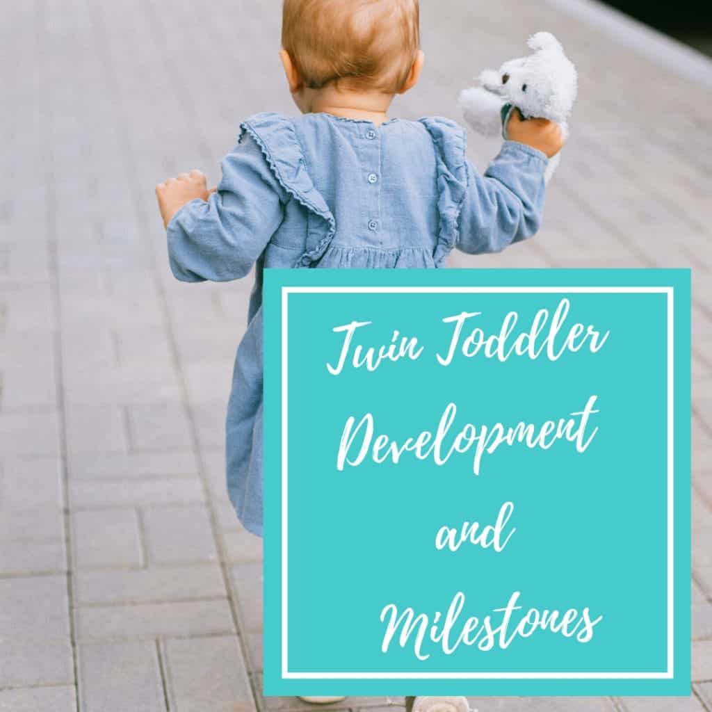twin toddler devlopement