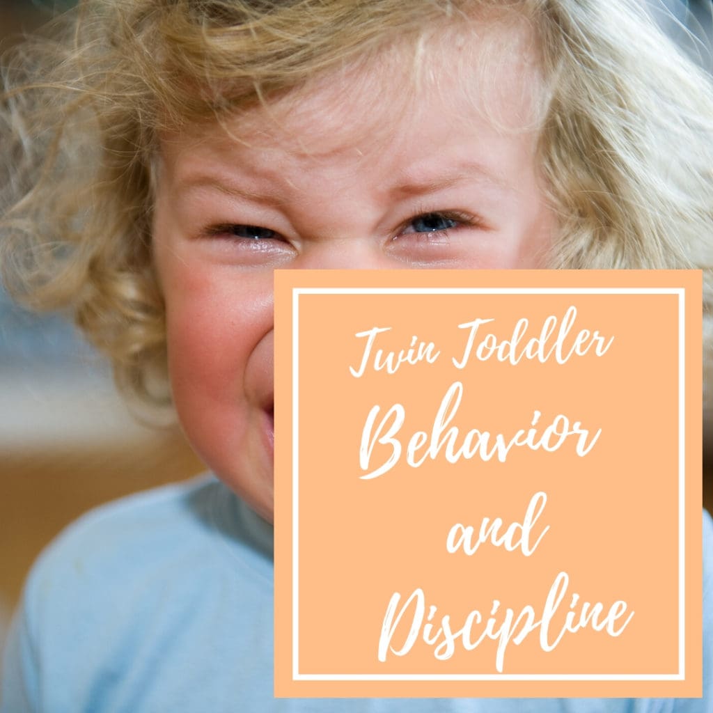 twin toddler behavior