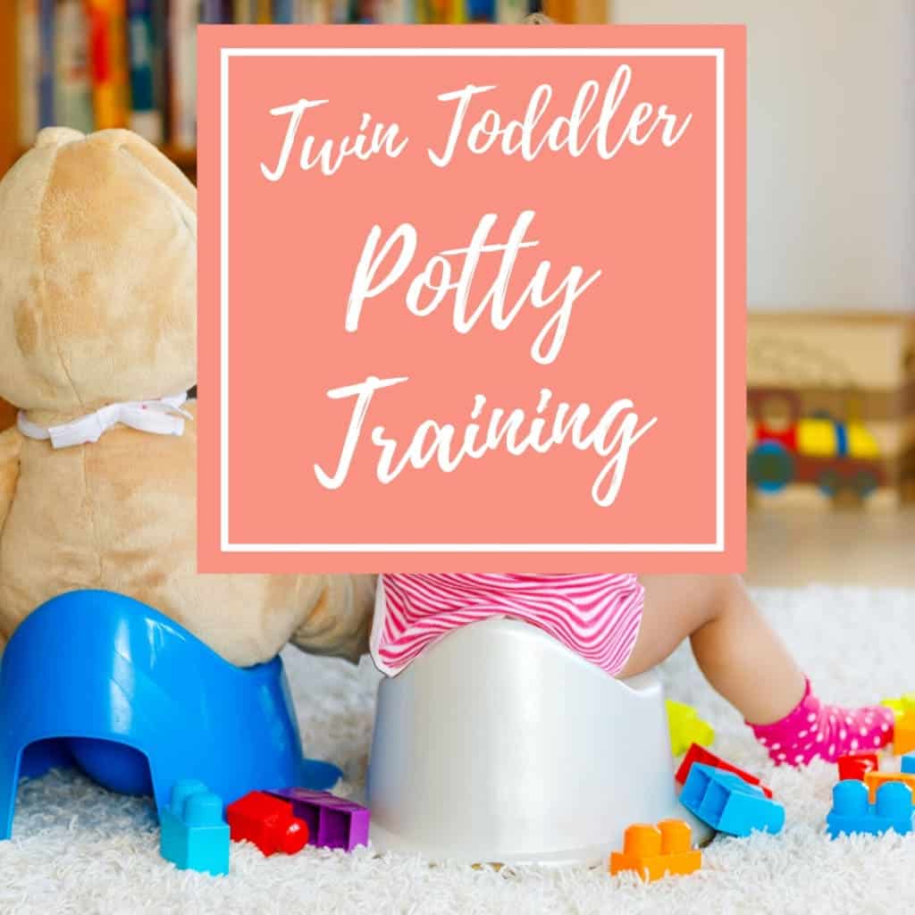 Potty Training Twins