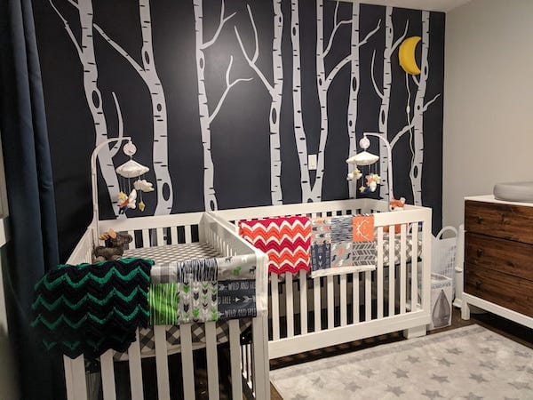 twin nursery design and decor ideas