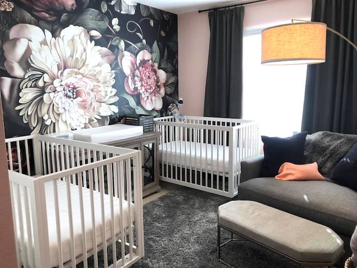 twin nursery design and decor ideas