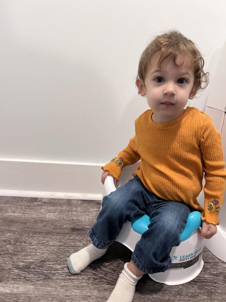 advice on potty training for twins
