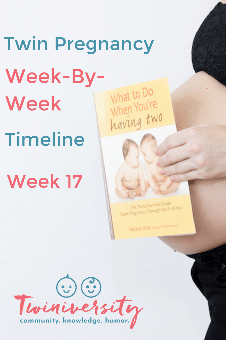 17 weeks pregnant with twins