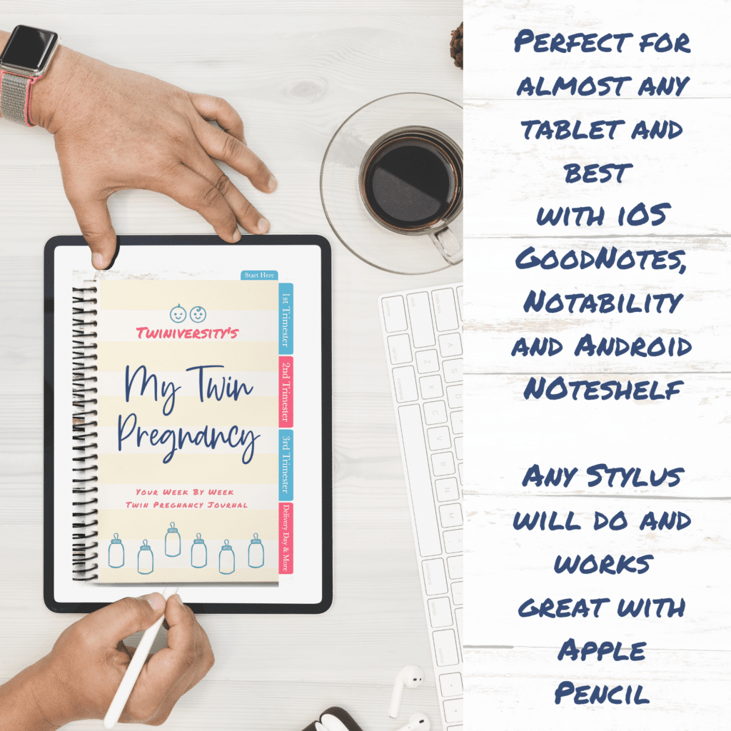 Digital Twin Pregnancy Journal