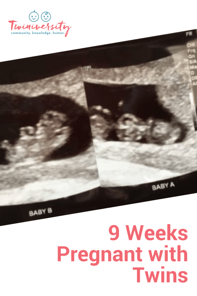 9 weeks pregnant with twins ultrasound