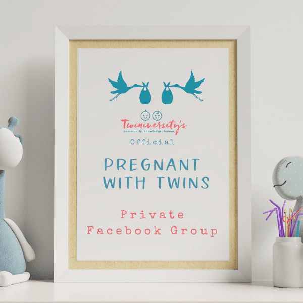 pregnant with twins facebook group