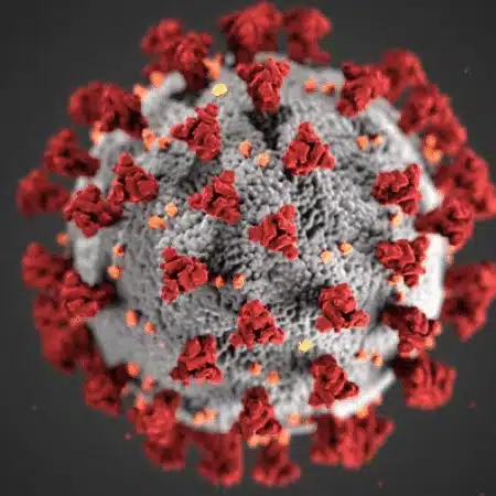 COVID-19 Pregnancy, Breastfeeding