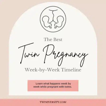 twin pregnancy timeline